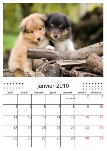 calendrier chien 2010