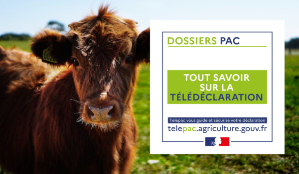 télédéclaration pac agriculture